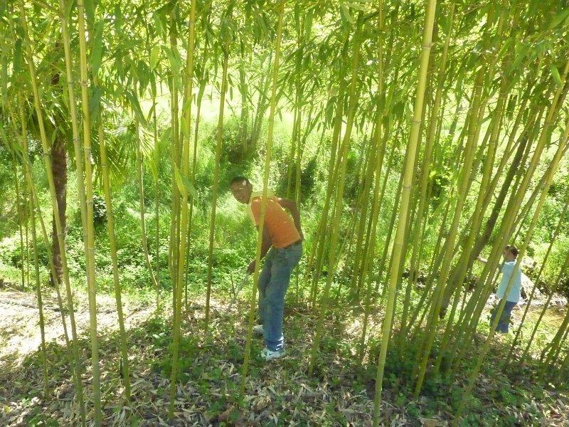 P1020851 [1600x1200].JPG